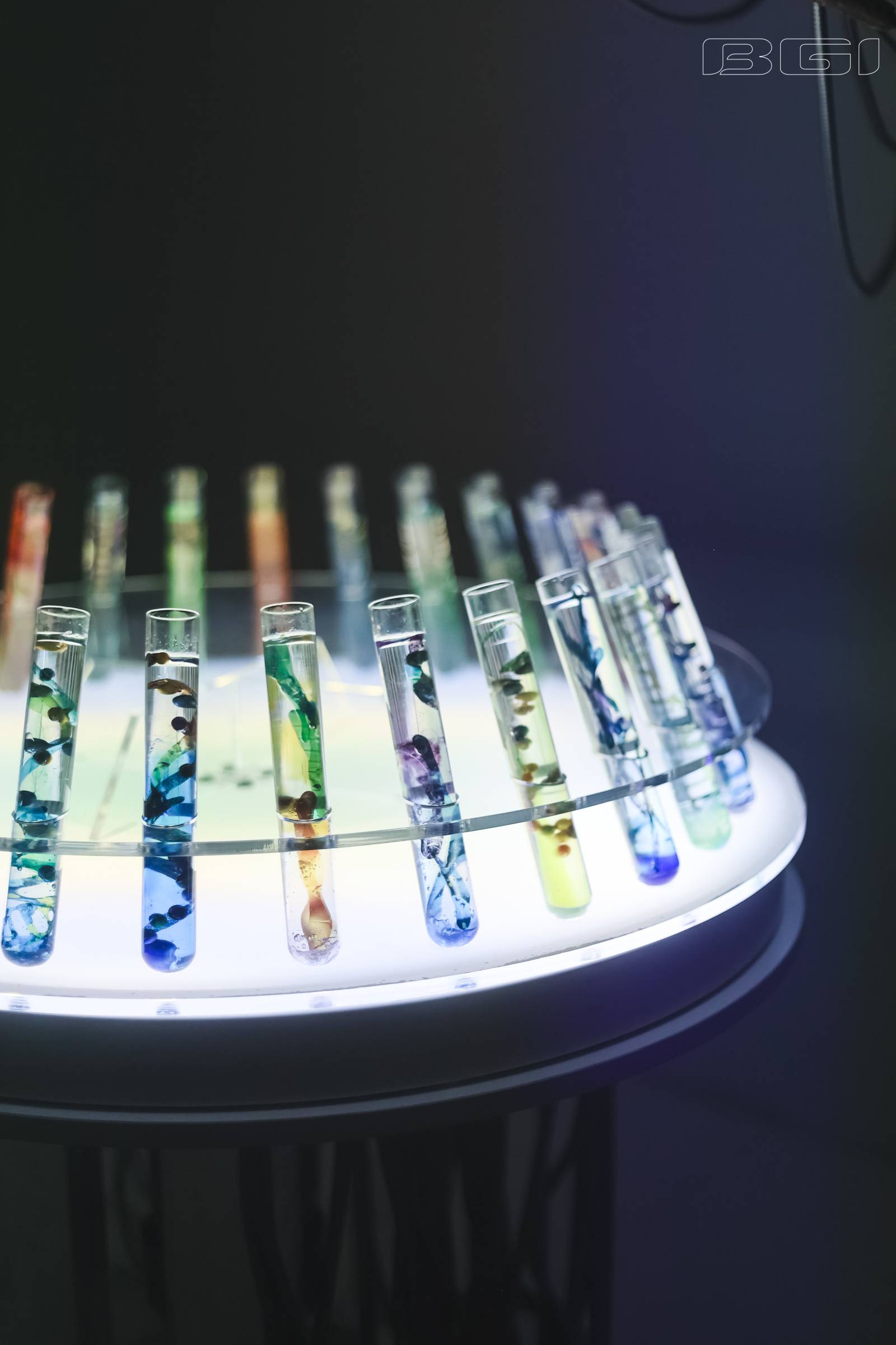 加拿大28_JND28展望_PC展望_实时盘问|效果数据剖析