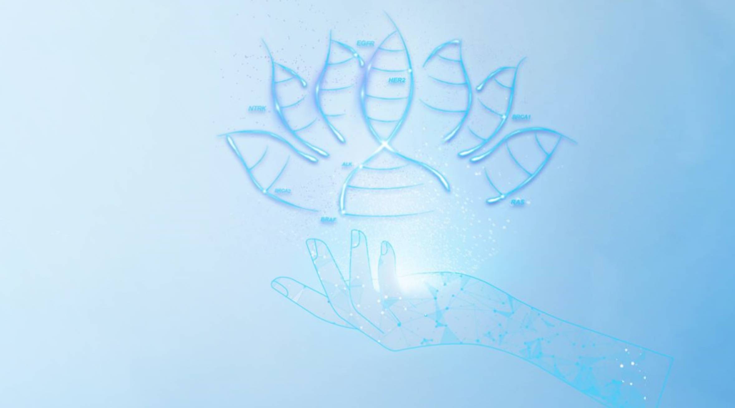 加拿大28_JND28展望_PC展望_实时盘问|效果数据剖析