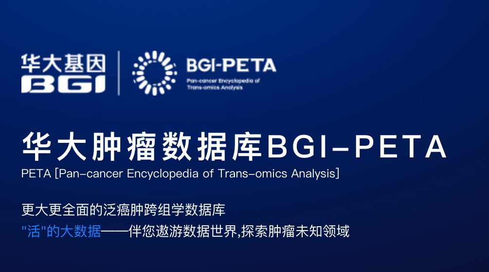 加拿大28_JND28展望_PC展望_实时盘问|效果数据剖析